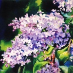 Anne-Austin-Lilacs