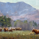 Allen_Elizabeth_The_Highlander_Herd_in_Spring