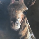 Adelaide-Murphy-Tyrol-Giraffe
