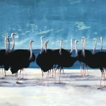 Adelaide-Murphy-Tyrol-The-Ostrich-Zone
