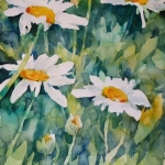 Annelein_Beukenkamp_Daisy_Dance