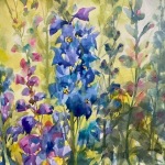 Beukenkamp-Annelein-DelftBlue-Delphinium