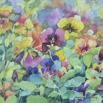 Beukenkamp-Annelein-Fancy-Pansies