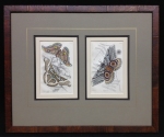 2 moth prints- shop