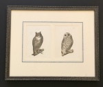 Owls-Antique-Print