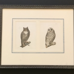 Owls-Antique-Print