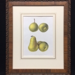 Pears-Print