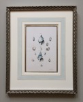 Shells_antique_print