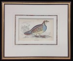 bird print 2