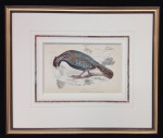 bird print