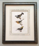 birds_antique_print