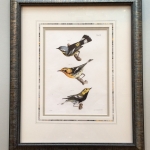 birds_antique_print