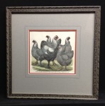 chickens-print
