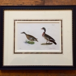 ducks_antique_print