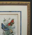 frame sample 2