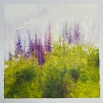 Acker_Bonnie_Hillside_Blooming