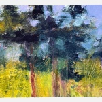Acker_Bonnie_Sunlight-in-the-Branches