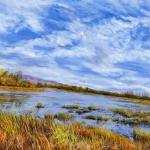 Gottsegen_Daniel_You_Dont_Push_-The_River