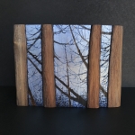 David-Maille-Untitled-on-cedar