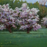 Apple-Blossoms-9x12