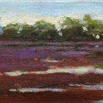 David-Smith-Twilight-Flight