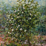 David_Smith_Rose_of_Sharon