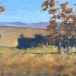 David_Smith_Soft_Autumn