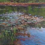 David_Smith_Waterlilies_in_Bloom