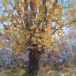 Davis_Smith_Transluscent_Bling