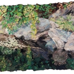 Dianne-Shullenberger-West-Branch