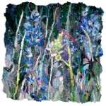 Shullenberger-Dianne-Lupin-Fields