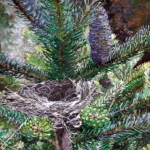 Shullenberger-Dianne-Nestled_in_the_Pine