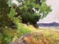 Allen_Elizabeth_Summer_Path