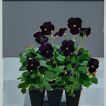 Kate-Longmaid-Black-Velvet-Pansies