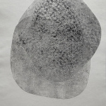 Scriver_Jessica_Imprinting-genomic-and-other-I