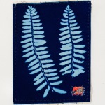 Christmas Fern (2)