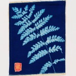 Common Bracken Fern (4)