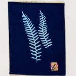 Common Polypody (Rock Fern) (10)