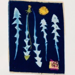 Dandelion (20)