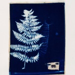 New York Fern and Caterpillar (8)