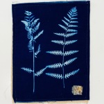 Oak Fern (12)