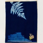 Oak Fern 2 (19)