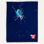 Tiger Beetle (11)