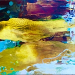 Gail-Salzman-Tidal-Gift