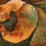 Salzman_Gail_volution