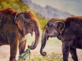 Kate-Hartley-Elephants