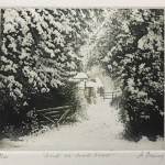 Jo-Barry-And-we-had-snow