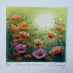 Jo-Barry-Dancing-Dreams