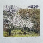 Jo-Barry-Extravagance-of-Spring