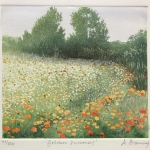 Jo-Barry-Golden-summers